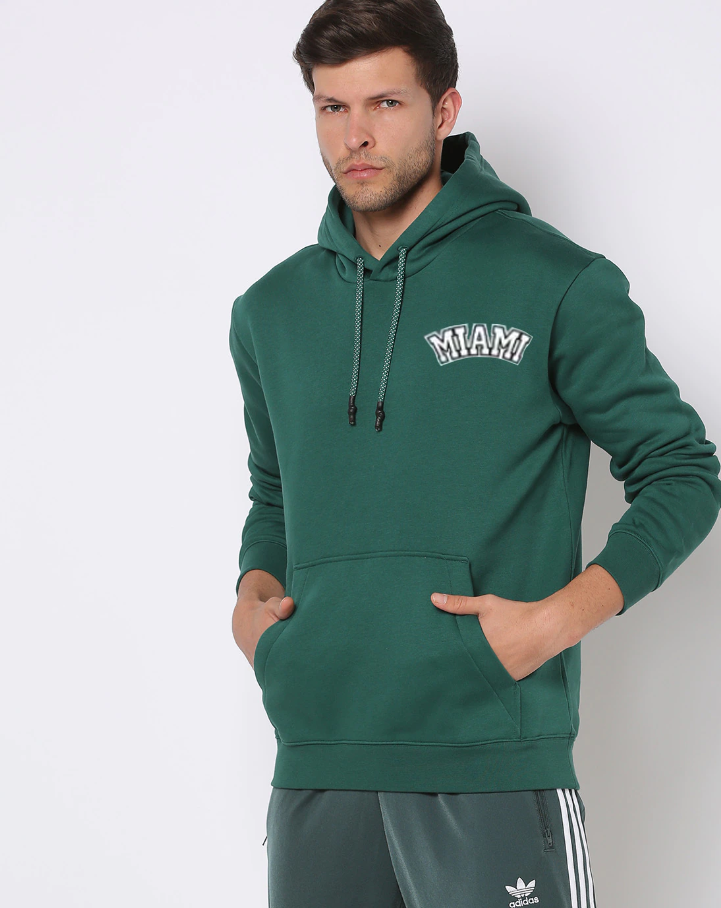 Singham premium quality Sweatshirt for men