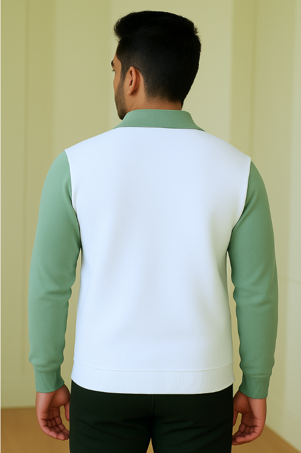 Singham premium quality t-shirt for men