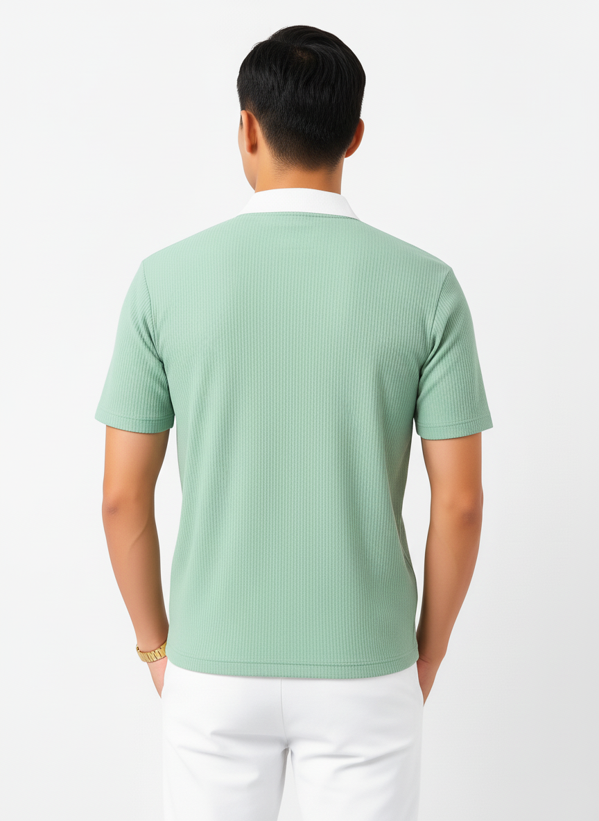 Singham premium quality t-shirt for men
